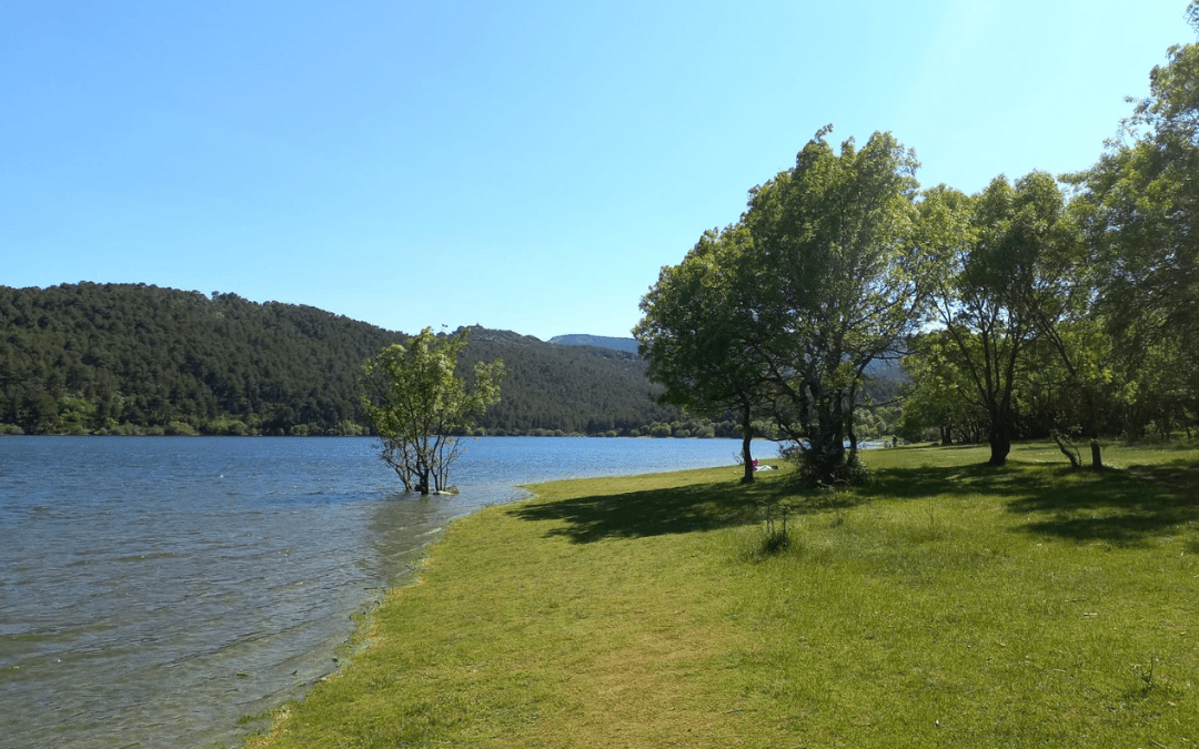 La Jarosa embalse diciembre — Dog Trail Scouts — Dog Adventure®