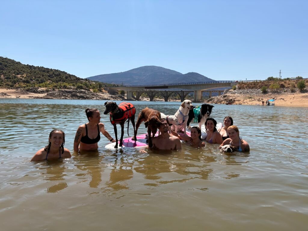 Paddle surf con perro — Dog Adventure®