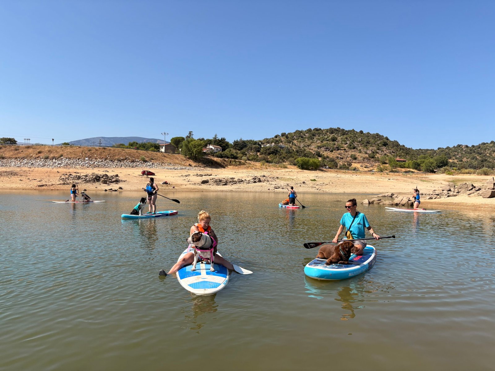 PaddleCan® SUP Dogging — Paddle surf con perro Madrid