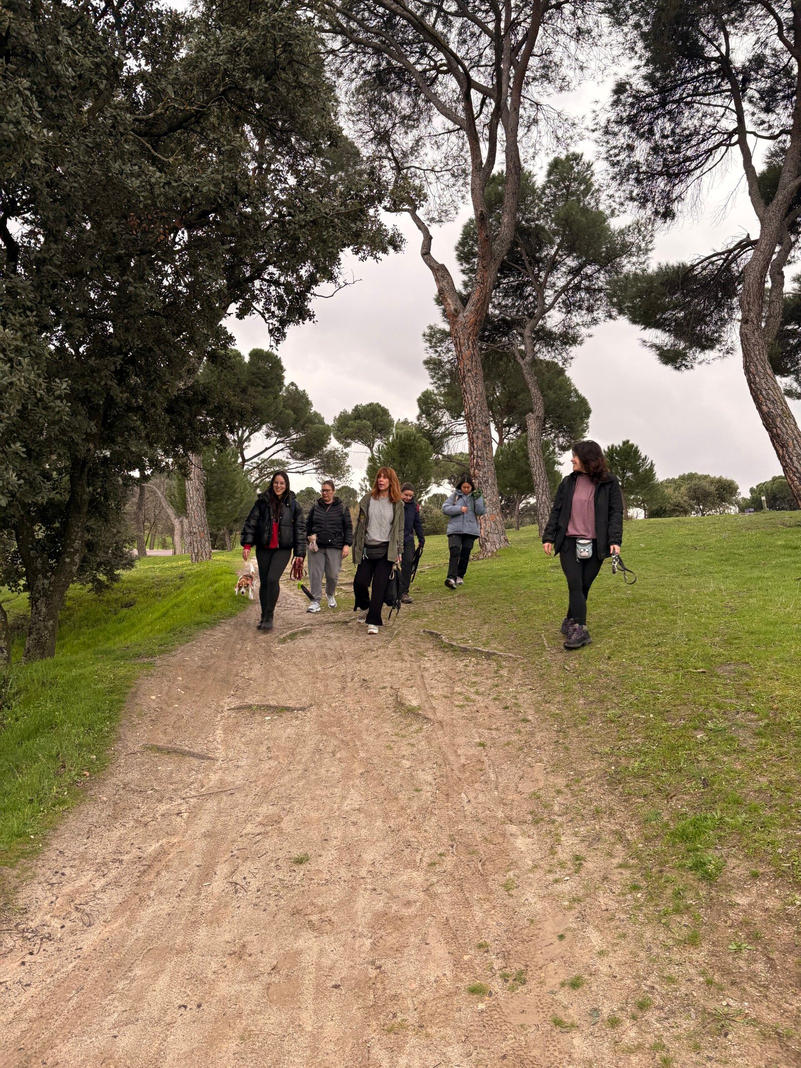 Dog Trail Scouts Nivel I - Casa de Campo - 5 Dic 2026