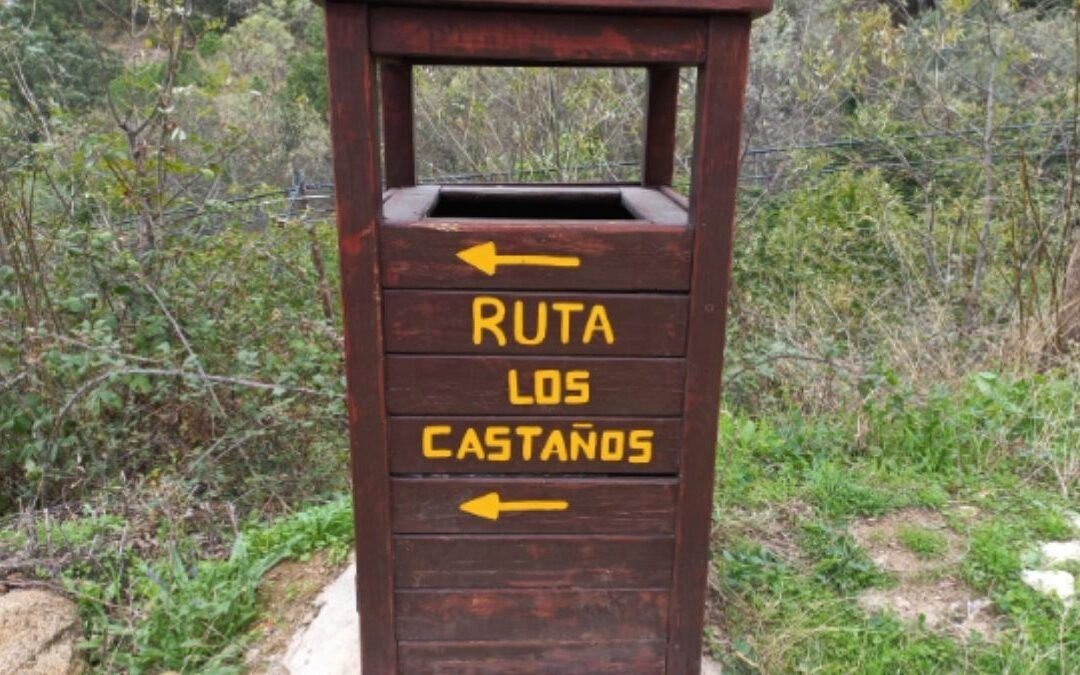 Castañar de Rozas Puerto Real — Dog Trail Scouts Nivel I — Dog Adventure®