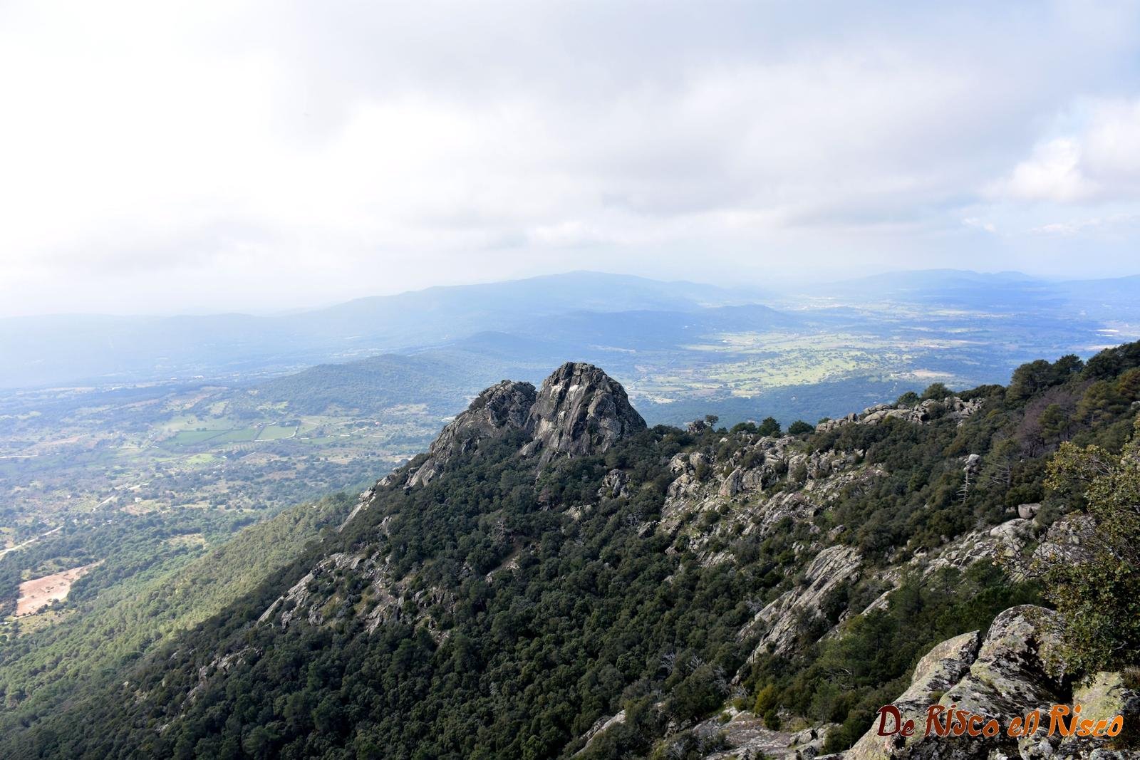 Dog Trail Scouts Nivel III - Cenicientos - 19 Dic 2026
