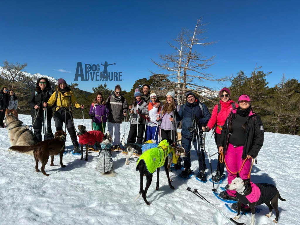Grupo de personas con sus perros sobre la nieve en un día soleado, algunos perros con abrigo