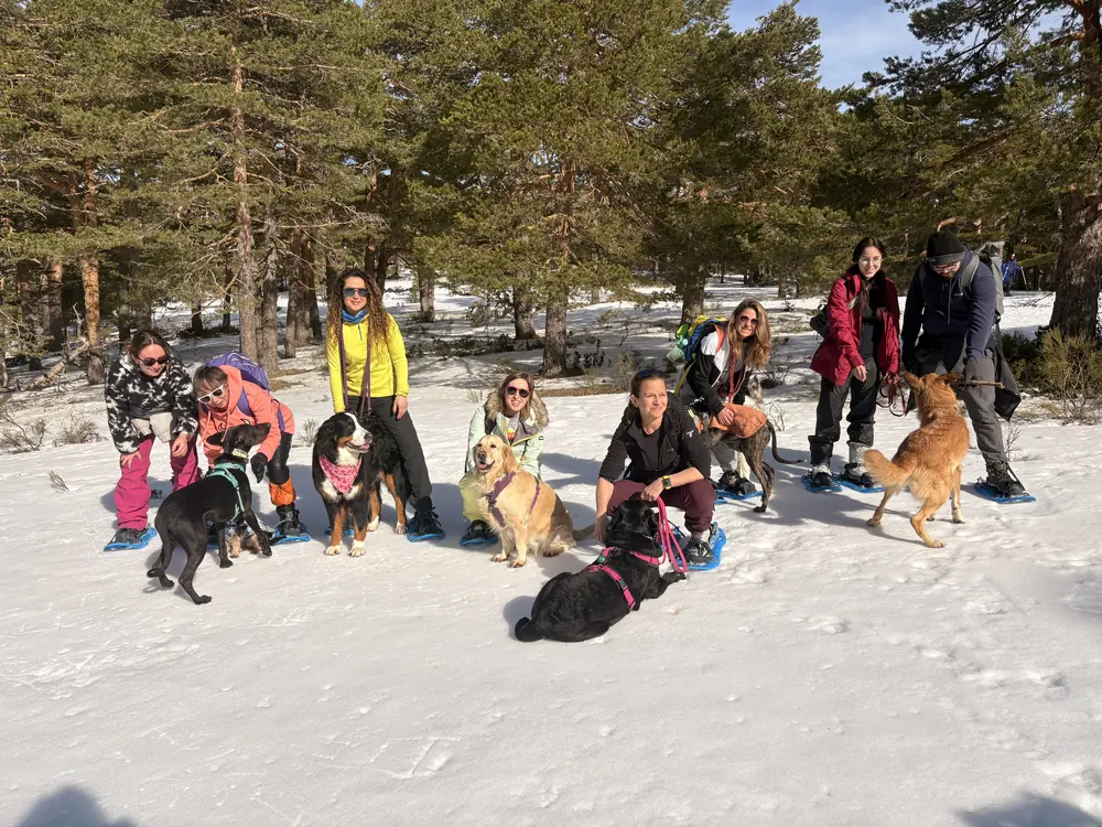 Grupo de participantes con raquetas de nieve y sus perros sentados sobre la nieve en un pinar
