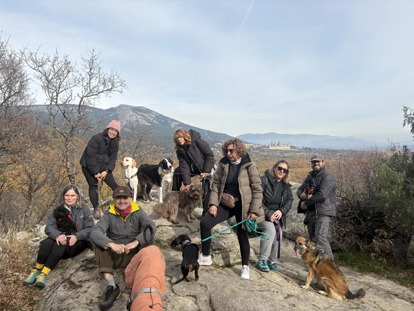 Grupo de Dog Trail Scouts con sus perros atados sobre una laja de granito en El Escorial, con el valle y la Sierra de Guadarrama al fondo