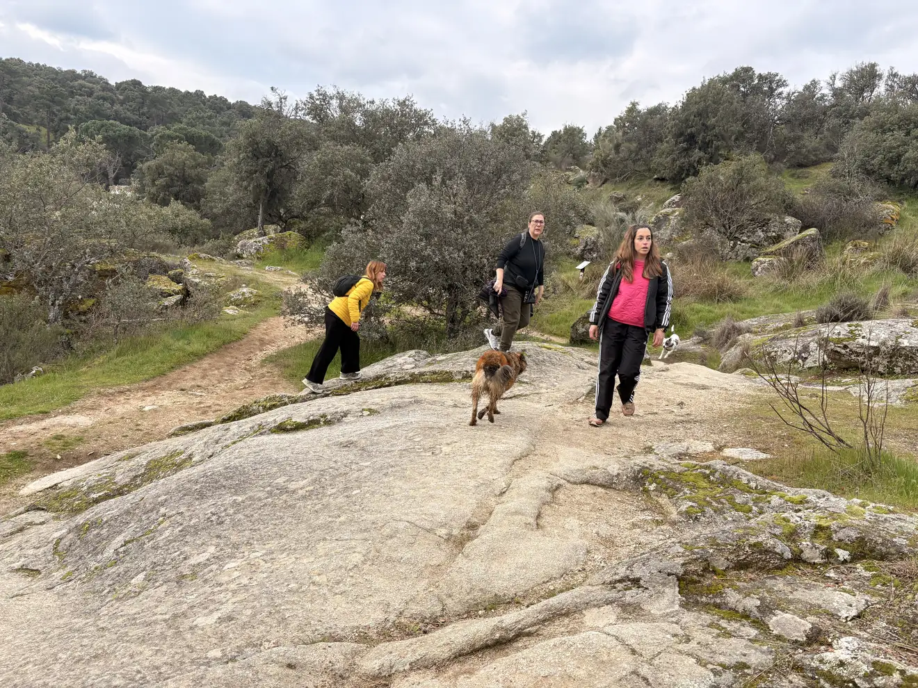 Tres personas caminando con sus perros por lanchares de granito entre encinas en una ruta de Navalagamella, Sierra Oeste de Madrid